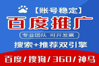 某电商平台的SEM推广策略及效果分析